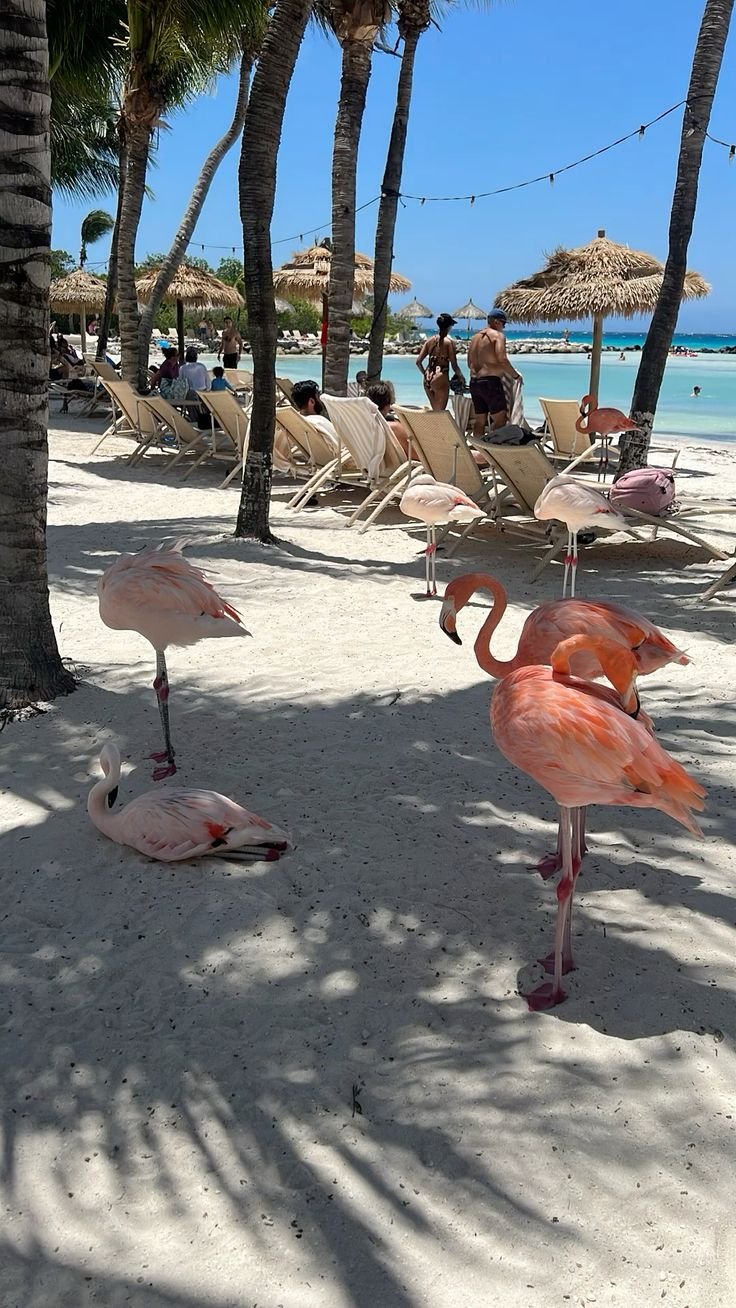 Aruba