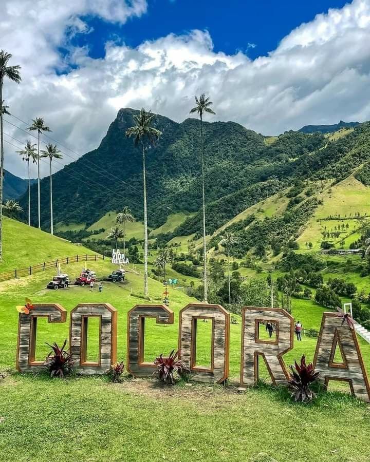 Palmeras de cera del Valle de Cócora en el Eje Cafetero, plan desde Medellín