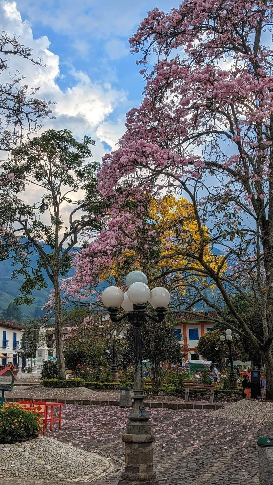 Plaza principal de Jardín, Antioquia, con árboles floridos, excursión desde Medellín